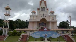 Sacred Heart Malankara Catholic Church in Mylapra, Kerala, India. Feby Varghese via Wikimedia (CC BY 3.0)