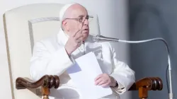 Pope Francis speaking at the general audience on St. Peter's Square at the Vatican, Nov. 30, 2022 | Daniel Ibáñez / CNA