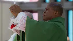 Cardinal Peter Ebere Okpaleke offers Mass in Rome at his titular church, the Holy Martyrs of Uganda Catholic Parish, on Feb. 5, 2023. / Credit: Daniel Ibanez/CNA