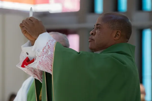 Nigeria’s Newest Cardinal Shares Secret Behind the Highest Mass Attendance in the World