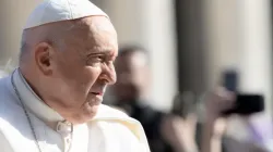 Pope Francis at the Wednesday general audience in St. Peter's Square on May 24, 2023. | Daniel Ibanez/CNA