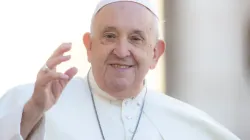 Pope Francis waves to the crowds at his general audience on Nov. 8, 2023. | Credit: Daniel Ibañez/CNA