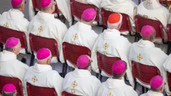 Bishops and cardinals concelebrate Mass with Pope Francis to open the second assembly of the Synod on Synodality on Oct. 2, 2024, in St. Peter’s Square. / Credit: Daniel Ibañez/CNA