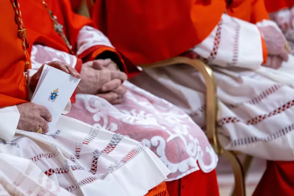 What Pope Francis’ New Cardinals Reveal about Future Conclave: Analysis