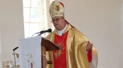 Bishop Stanislaw Dziuba of South Africa's Umzimkulu Diocese. Credit: IMBISA