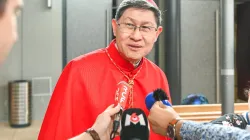 Cardinal Tagle at the beatification of Pauline Jaricot in Lyon, France, on May 22, 2022. In Your Name/Diocèse de Lyon Flickr photostream.