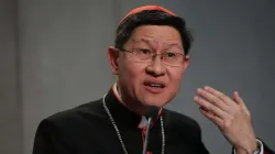 Cardinal Luis Antonio Tagle of Manila, Philippines. Credit: Daniel Ibanez/CNA