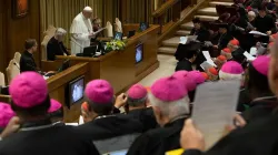 A 2019 meeting in the Vatican's New Synod Hall. Credit: Vatican Media.