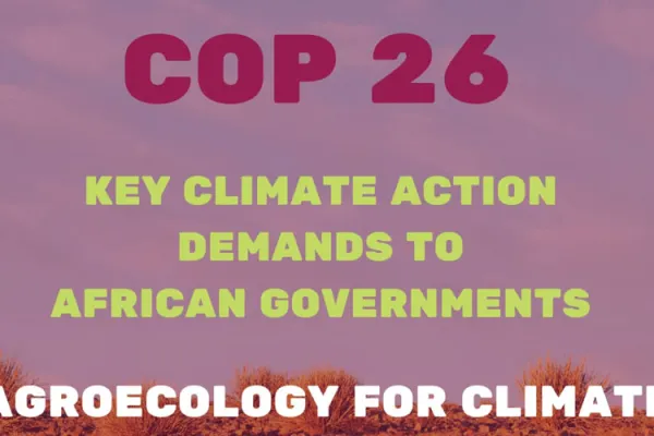 Put Human Rights Agenda at Centre of COP 26, Civil Societies Urge African Nations