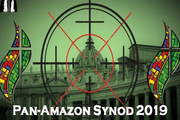 Amazon Synod: Who are the Africans and Africa-based Participants?