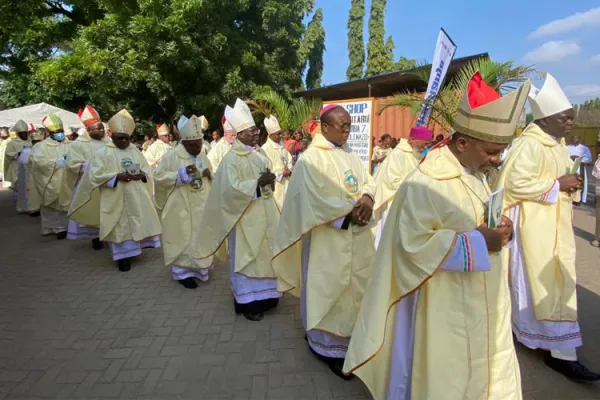 Eastern Africa Catholic Bishops Conclude Plenary with Call for New Environment Strategies