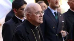Archbishop Carlo Vigano. / Credit: Edward Pentin/National Catholic Register