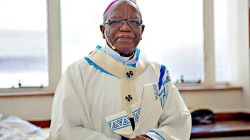 Archbishop Buti Joseph Tlhagale of Johannesburg Archdiocese in South Africa.