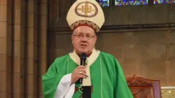 The representative of Pope Francis in the Apostolic Visitation of South Africa's Diocese of Mariannhill, Archbishop Emeritus of Pretoria, William Slattery / Public Doamin