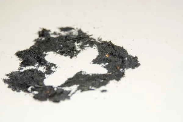 Where Do Ash Wednesday Ashes Come From?