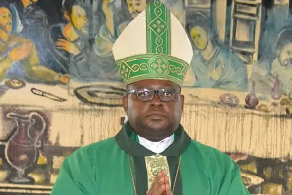 Catholic Diocese in Cameroon Outlines Measures to Address “existing information gaps”