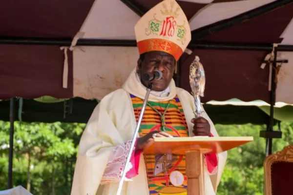 Catholic Church Not Competing with Others on Health Matters: Bishop in Kenya