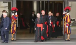 Cardinals outside the Paul VI Hall. / Credit: Daniel Ibanez/CNA