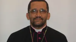 Bishop Sithembele Sipuka, First Vice President of the Symposium of Episcopal Conferences of Africa and Madagascar (SECAM). Credit: Bishop Sithembele Sipuka