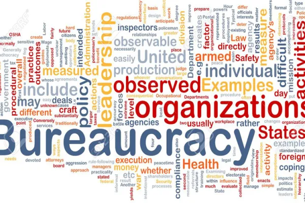 Representation of bureaucracy in organizations