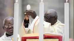 Cardinal Robert Sarah offers Mass in St. Peter's Basilica for his 50th anniversary of priesthood in 2019. | Credit: Evandro Inetti/CNA.