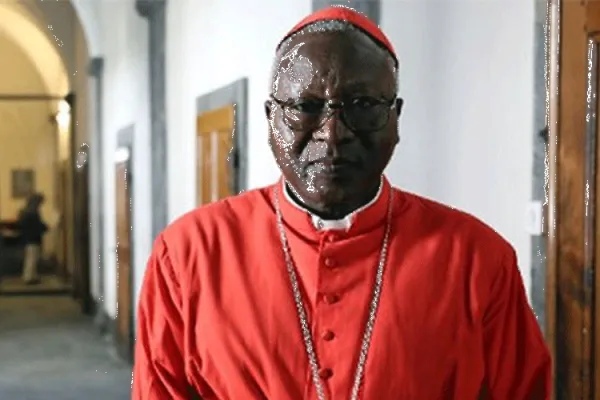 Phillip Cardinal Ouédraogo, President of the Symposium of Episcopal Conferences of Africa and Madagascar (SECAM), who has just recovered from COVID-19.