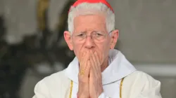 Bishop of Mauritius' Port Louis Diocese, Maurice Cardinal Piat during Holy Mass marking the diocesan Feast of Vocations, August 2. / Port Louis Diocese/ Facebook