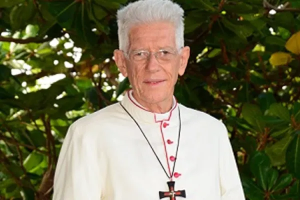 Church Vitality “depends on your participation”: Mauritian Cardinal in Message for Synod