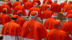 Cardinals attending service at St. Peter's Basilica in Rome