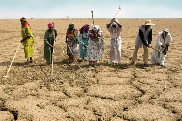 Caritas Internationalis Seeking Partners to Address Bishops’ Drought Appeal for Kenya