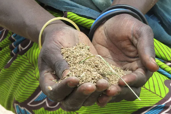 Caritas Internationalis Launches Emergency Appeal to Empower Food Producers in Mali