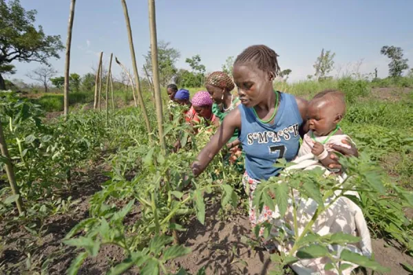 Caritas South Sudan Farming Skills Training to Improve “local food security”: Beneficiary