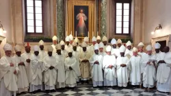 Members of the Southern African Catholic Bishops’ Conference (SACBC). Credit: SACBC