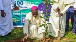 Bishop Stephen Dami Mamza during the launch of the Green Revolution Tree Campaign in Yola Diocese. Credit: Yola Diocese