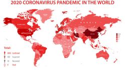 Statistics on COVID-19 cases in the world