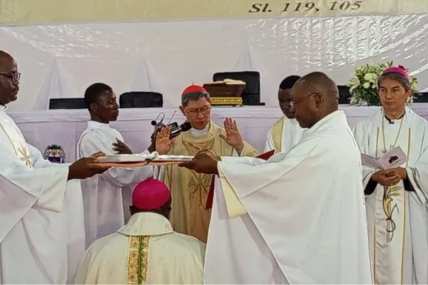 Vatican Cardinal Calls on New Mozambican Bishop to “be humble, resist temptations”