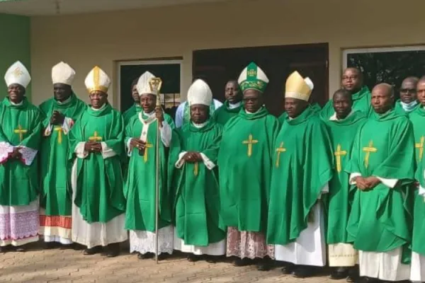 Be Proactive, Engage “better equipped Personnel”: Bishops in Jos Province to Nigeria Gov’t