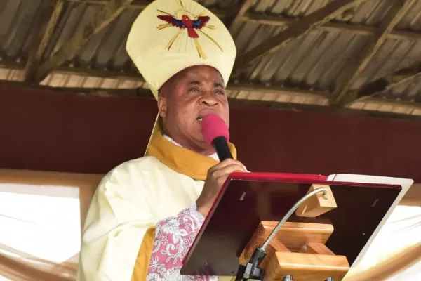 Use Easter Season to Farm “even if in bags”, Cardinal in Nigeria Says Following Resumption of Rains in His Diocese