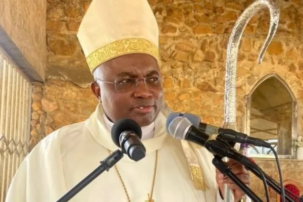 “Uncontrolled exploitation”: Catholic Bishop in Angola Urges Protection of Mayombe Forest from Greedy Foreigners