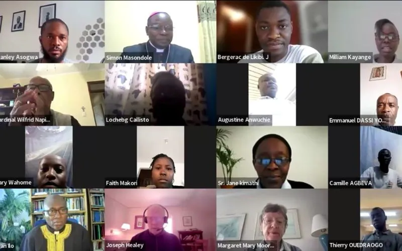 Participants during the 19 July 2024 webinar. Credit: PACTPAN