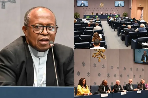 Synod on Synodality Can Provide “knowledge of reality”: Catholic Archbishop on Mozambique’s Cabo Delgado Insurgency