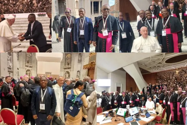 Why the Buck Stops with Catholic Bishops in Realizing “effectively missionary”, Synodal Church in Africa