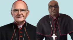 Stephen Cardinal Brislin (left) and Bishop Sylvester David (right)