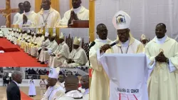 Archbishop Zacarias Kamwenho during the Eucharistic celebrating marking 50 years of his Episcopal Ordination. Credit: Jornal Borges