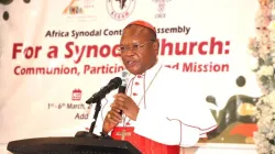 Fridolin Cardinal Ambongo, President of the Symposium of Episcopal Conference of Africa and Madagascar (SECAM). Credit: SECAM