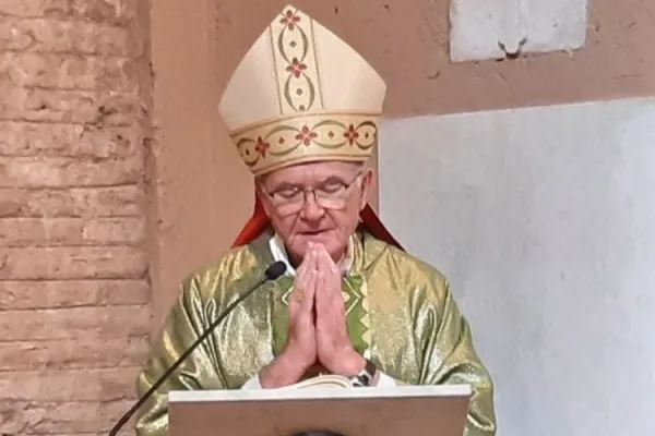 Let’s Pray for “end to this horrifying violence”: South African Cardinal on Gaza Conflict