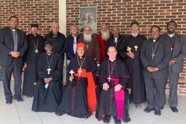 Ethiopia’s Situation of War Main Focus of Catholic Bishops’ Recent Plenary Assembly