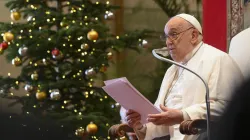 Pope Francis addresses cardinals and senior Vatican officials during his annual Christmas speech to the Roman Curia, Dec. 21, 2024. / Credit: Vatican Media