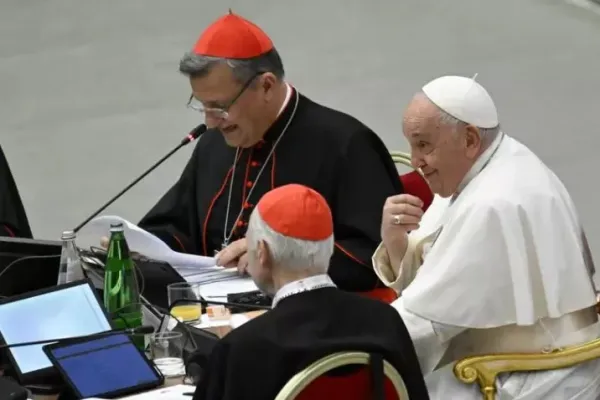 Controversial Comments by Secretary General of Synod of Bishops Add to List of Concerns on Postsynodal Study Groups