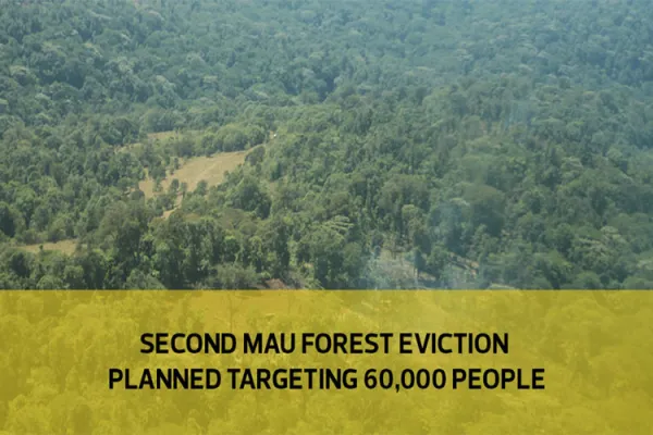 A section of Kenya's Mau Forest, East Africa’s largest indigenous montane forest. Evictions have been undertaken to restore the water catchment area. Catholic want a humane approach to the evictions.